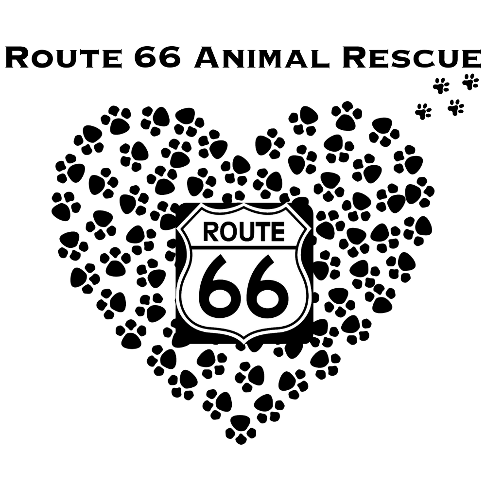 Route 66 Alt Logo No BG